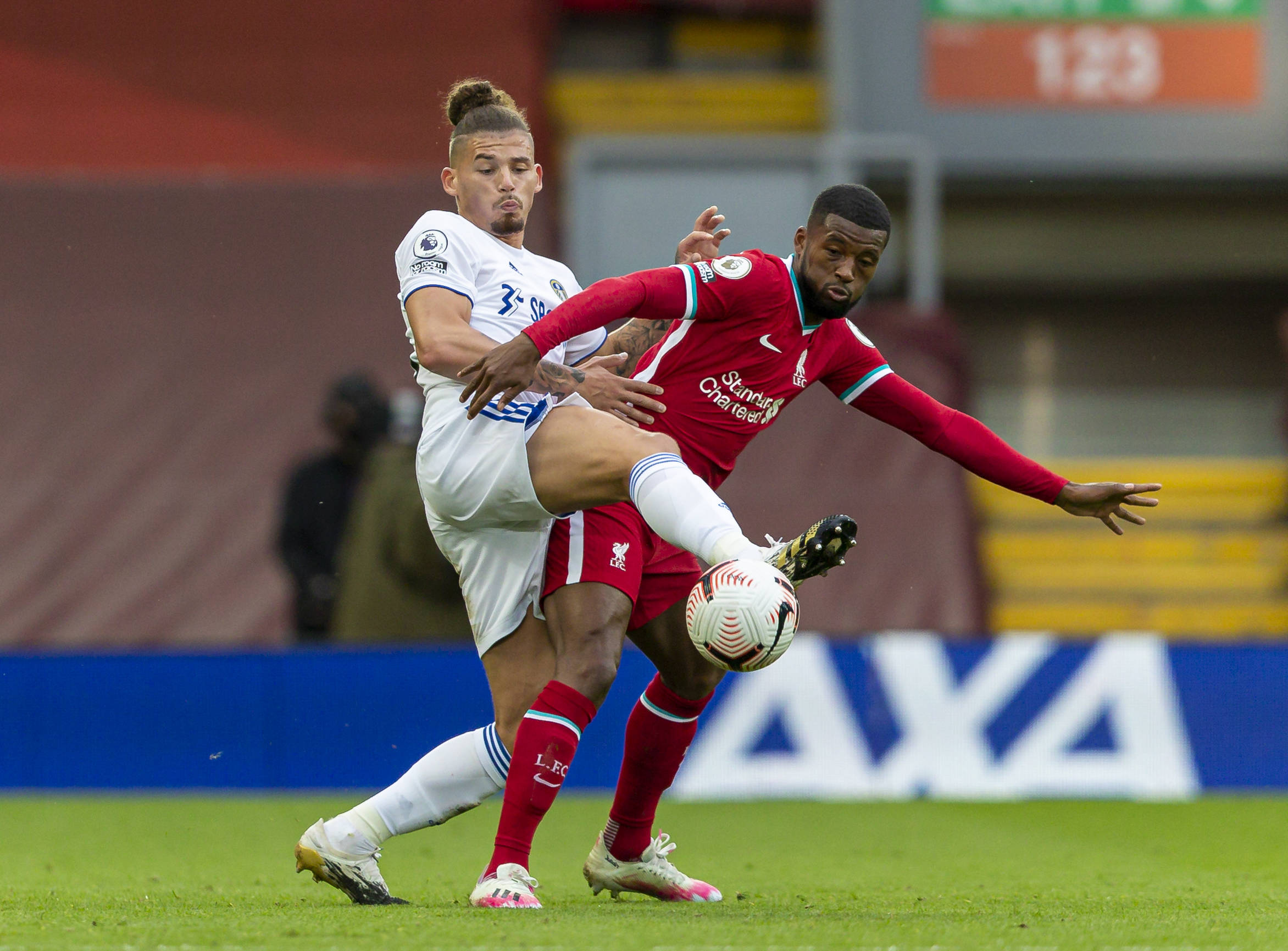 城市的精心 城市的精心